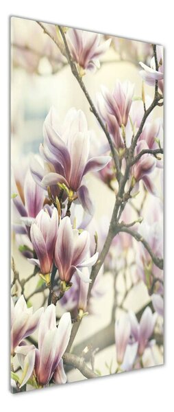 Tablou Printat Pe Sticlă Magnolie