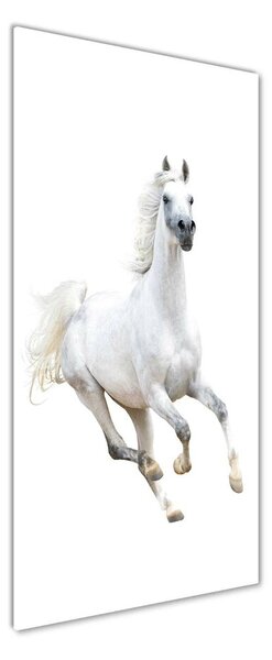 Fotografie imprimată pe sticlă cal alb în galop
