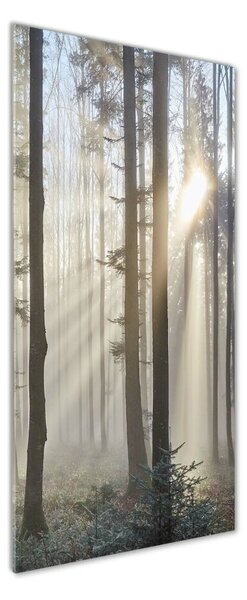 Tablou din Sticlă Ceață în pădure