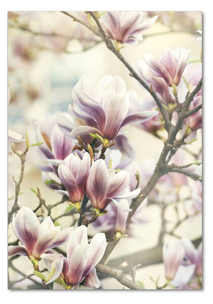 Tablou Printat Pe Sticlă Magnolie