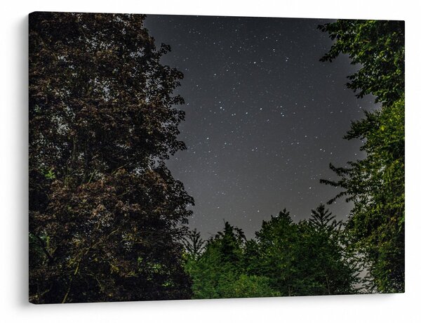 Tablou cu cerul nocturn (70x50 cm)