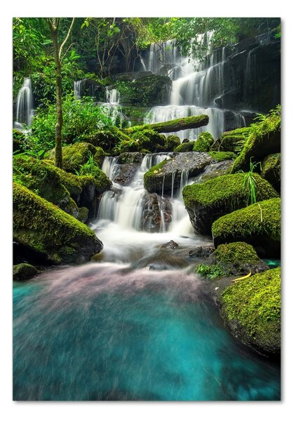 Tablou Printat Pe Sticlă Cascada din junglă