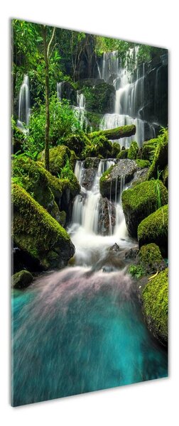 Tablou Printat Pe Sticlă Cascada din junglă