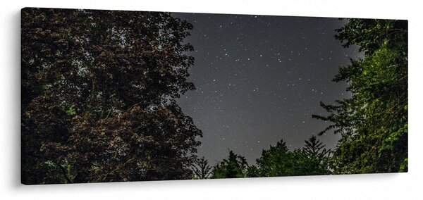 Tablou cu cerul nocturn (120x50 cm)