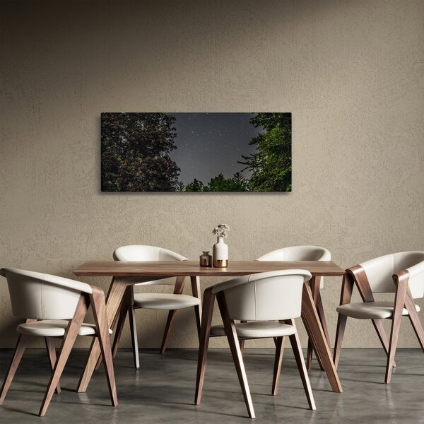 Tablou cu cerul nocturn (120x50 cm)