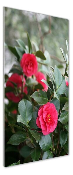 Pictura pe sticlă acrilică camelia