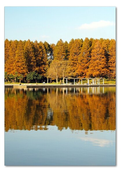 Fotografie imprimată pe sticlă Park din toamna