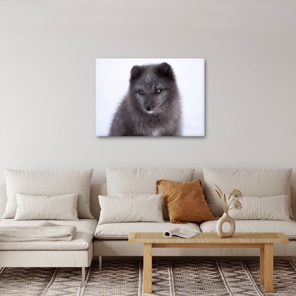 Tablou cu vulpe polară (70x50 cm)