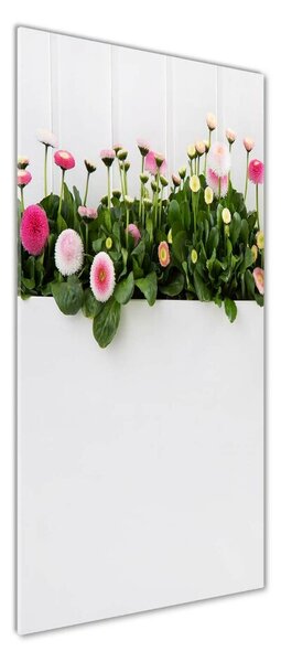 Tablou sticlă margarete roz
