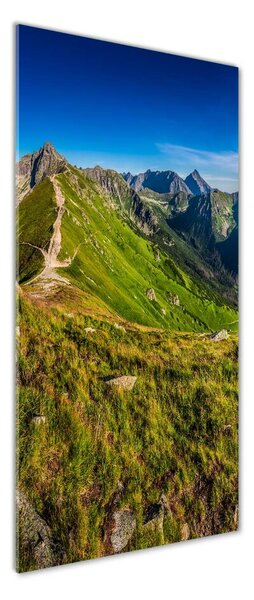 Tablou sticlă Tatry