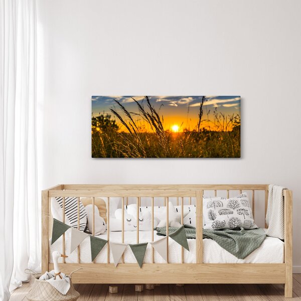 Tablou cu câmp în apus de soare (120x50 cm)