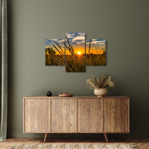 Tablou cu câmp în apus de soare (90x60 cm)