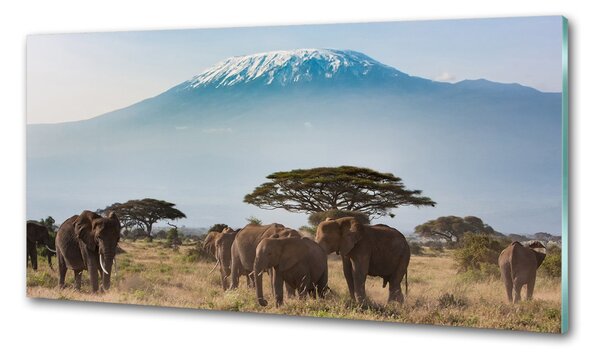 Sticlă pentru bucătărie elefanți Kilimanjaro