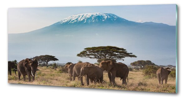 Sticlă pentru bucătărie elefanți Kilimanjaro