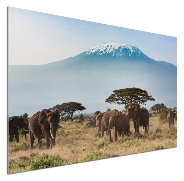 Sticlă pentru bucătărie elefanți Kilimanjaro