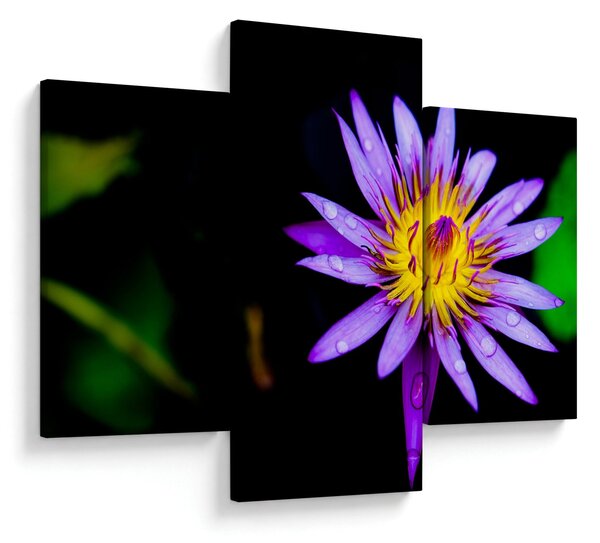 Tablou cu floare (90x60 cm)