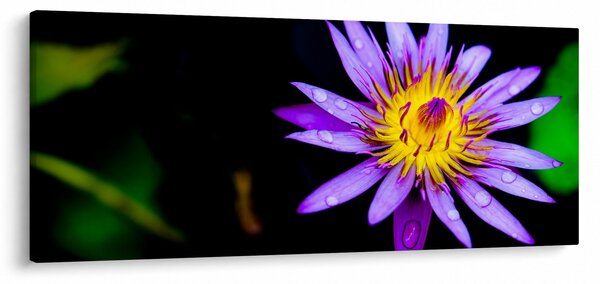 Tablou cu floare (120x50 cm)