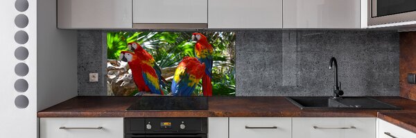 Panou sticlă bucătărie papagali Macaws