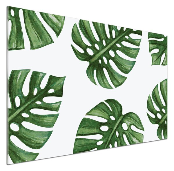 Panou de bucătărie Monstera