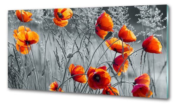Panou sticlă decorativa bucătărie wildflowers maci