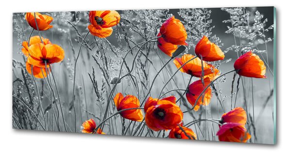 Panou sticlă decorativa bucătărie wildflowers maci