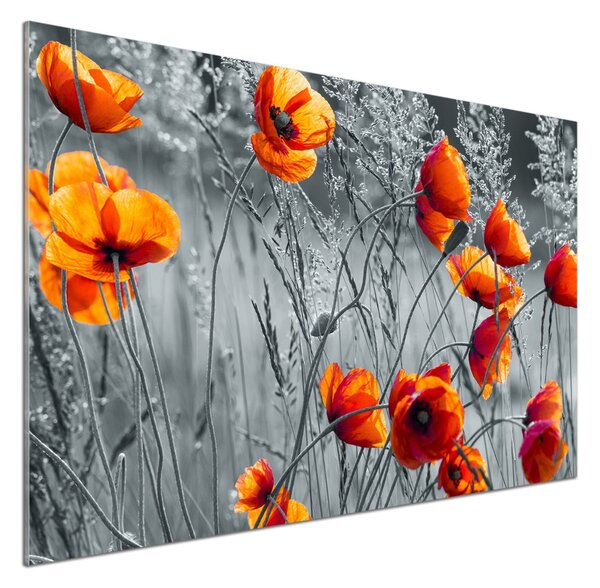 Panou sticlă decorativa bucătărie wildflowers maci
