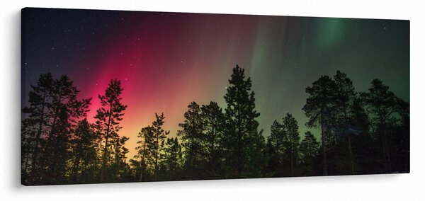 Tablou cu Northern Lights (120x50 cm)