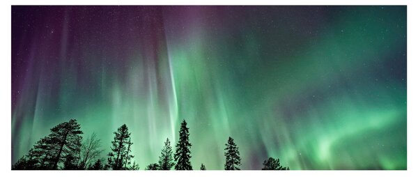 Tablou cu Northern Lights (120x50 cm)