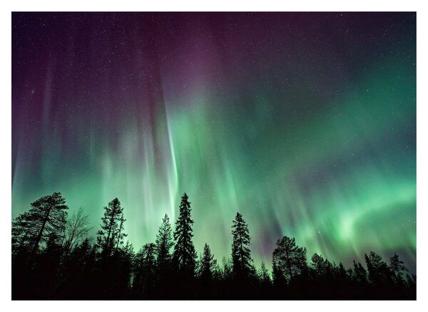 Tablou cu Northern Lights (70x50 cm)