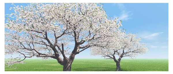 Tablou cu copaci (120x50 cm)