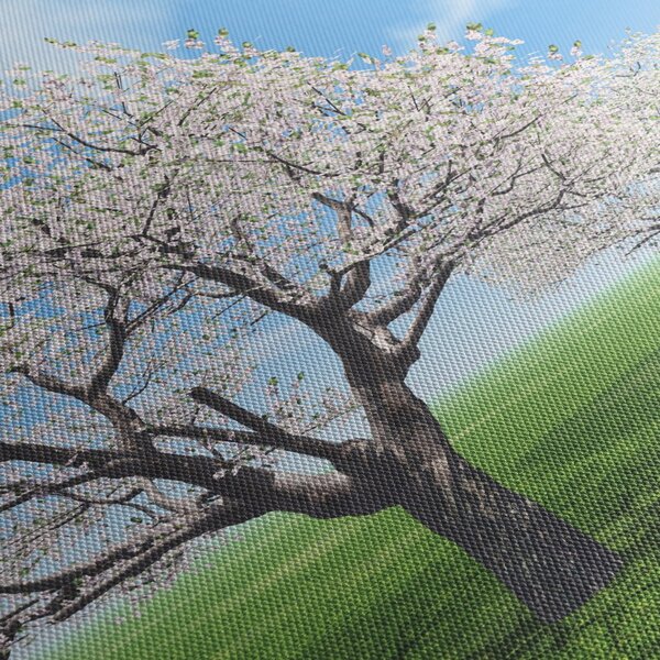 Tablou cu copaci (120x50 cm)