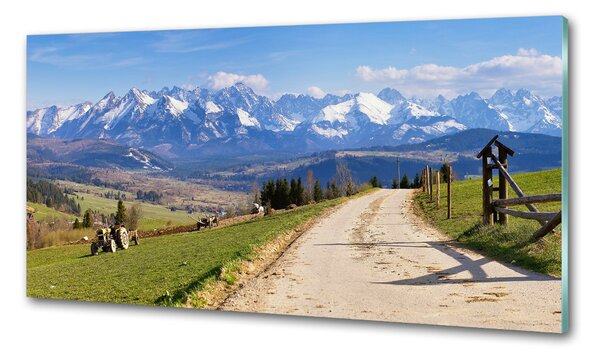 Sticlă pentru bucătărie panorama Tatra