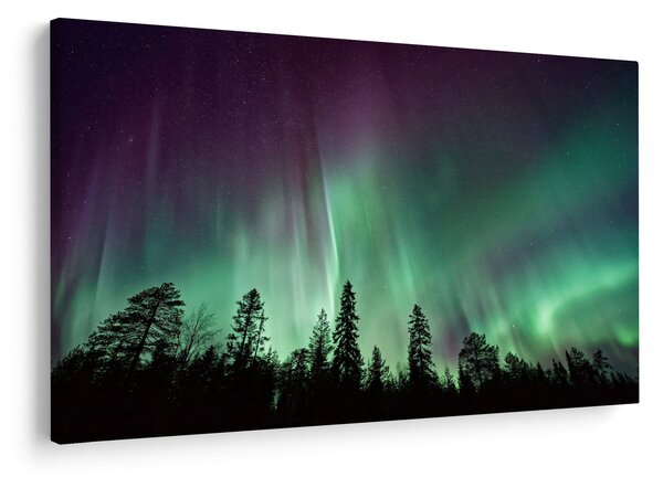 Tablou cu Northern Lights (90x60 cm)