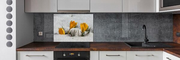 Sticlă bucătărie Crocus în zăpadă