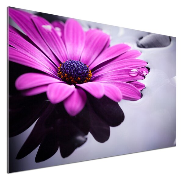 Sticlă bucătărie gerbera