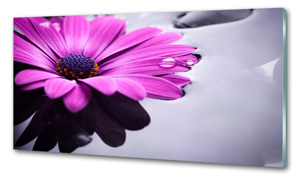 Sticlă bucătărie gerbera