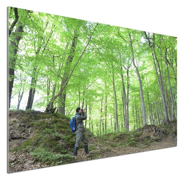 Panou sticlă decorativa bucătărie Ornitolog în pădure