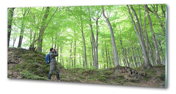 Panou sticlă decorativa bucătărie Ornitolog în pădure