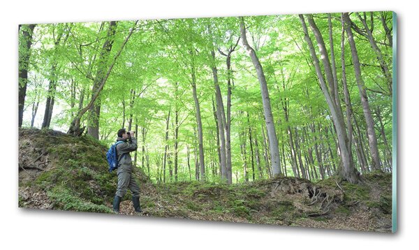 Panou sticlă decorativa bucătărie Ornitolog în pădure