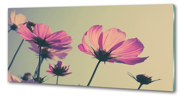 Panou de bucătărie flori roz