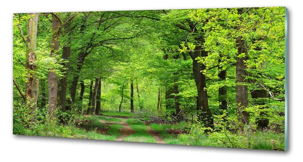 Sticlă pentru bucătărie pădure de primăvară