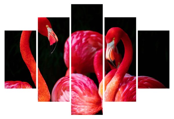 Tablou cu flamengo roșii (150x105 cm)
