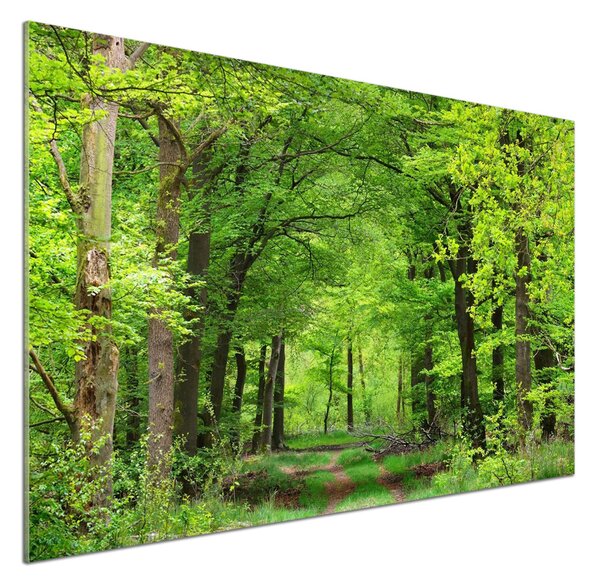 Sticlă pentru bucătărie pădure de primăvară