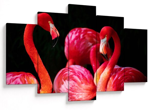Tablou cu flamengo roșii (150x105 cm)