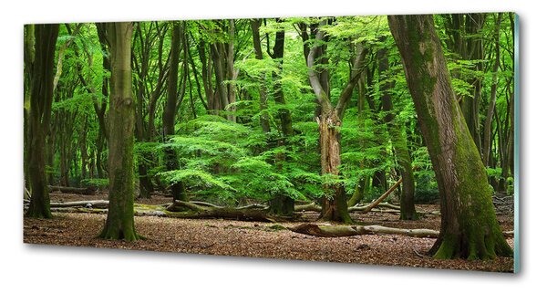 Panou sticla securizata bucatarie pădure olandeză