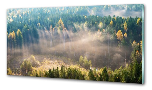 Sticlă pentru bucătărie Ceață în pădure