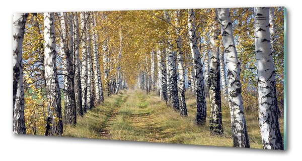 Panou de bucătărie mesteceni în toamna
