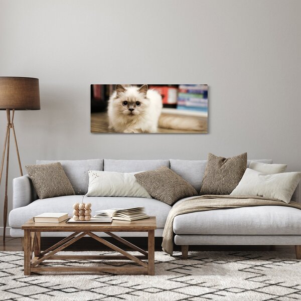 Tablou cu pisica albăr (120x50 cm)