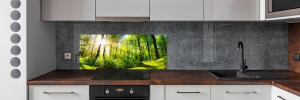 Panou sticla securizata bucatarie Pădurea în soare