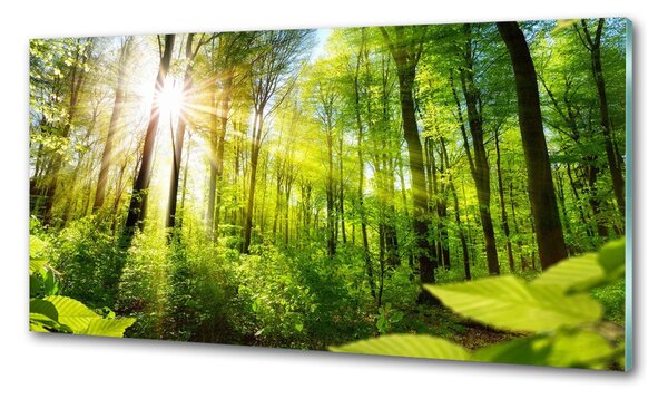 Panou sticla securizata bucatarie Pădurea în soare